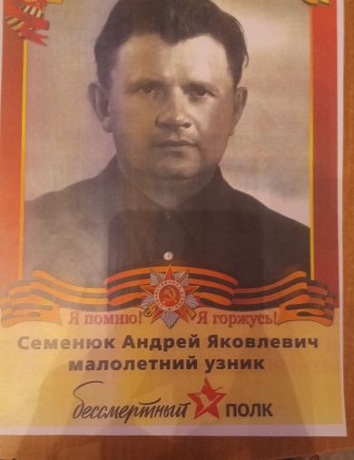 Семенюк Андрей Яковлевич