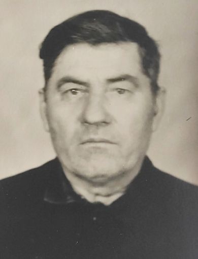 Моисеенко Мартын Иванович