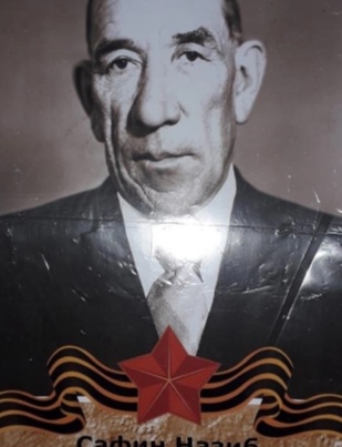 Сафин Назиб Сафинович