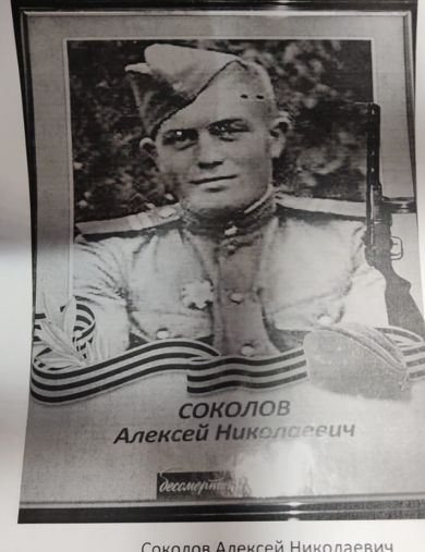 Соколов Алексей Николаевич