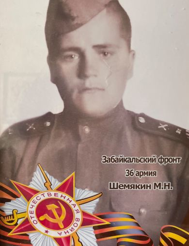 Шемякин Митрофан Николаевич