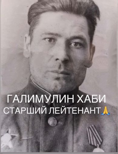 Галимулин Хаби