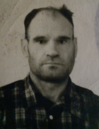 Никитин Николай Григорьевич