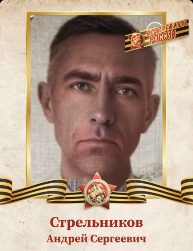 Стрельников Андрей Сергеевич