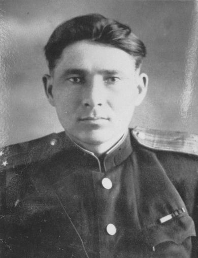 Никитин Николай Петрович