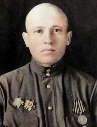 Бадин Николай Григорьевич