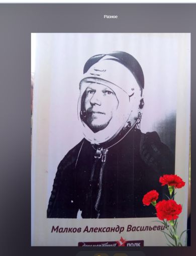 Малков Александр Васильевич