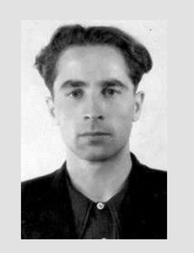 Николаев Владимир Ильич