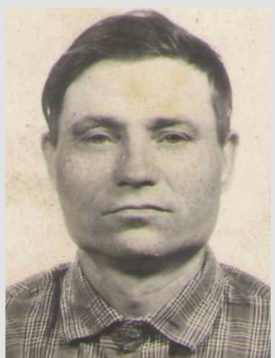 Гагин Андрей Иосифович