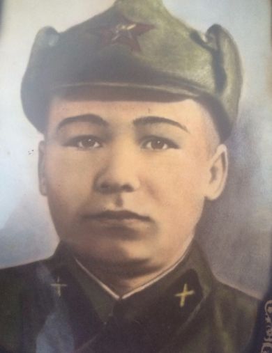 Миничев Александр Дмитриевич
