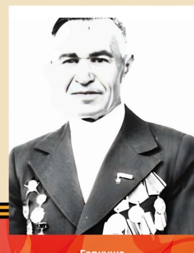 Гарькуша Василий Александрович