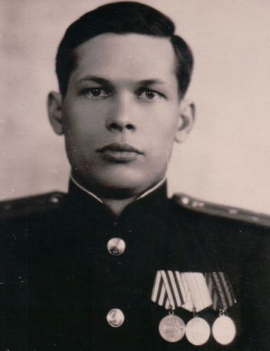 Плотников Василий Дмитриевич