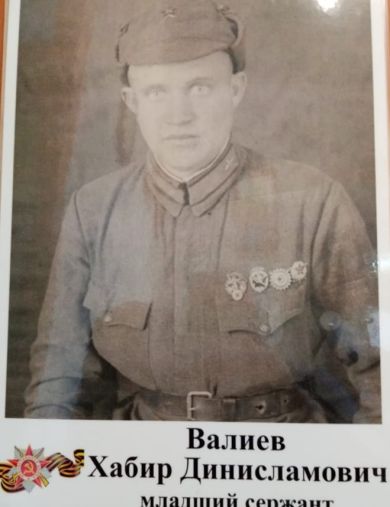 Валиев Хабир Динисламович
