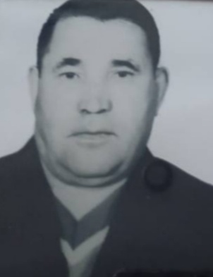 Шипицын Анатолий Михайлович