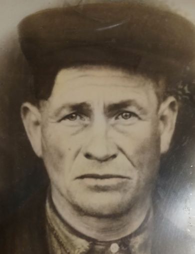 Пиконин Николай Александрович