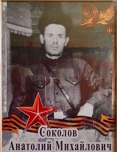 Соколов Анатолий Михайлович