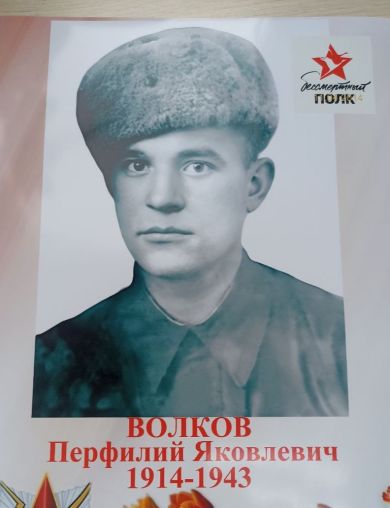 Волков Перфилий Яковлевич