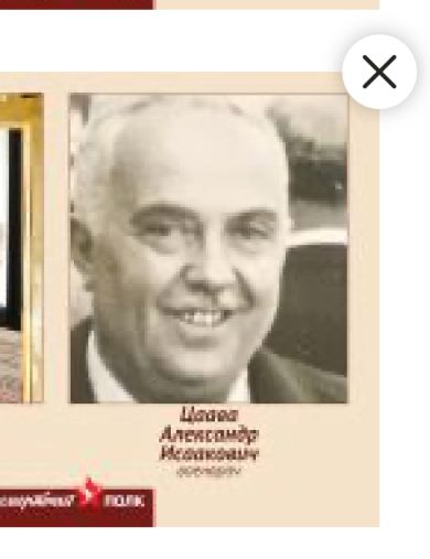 Цаава Александр Исаакович