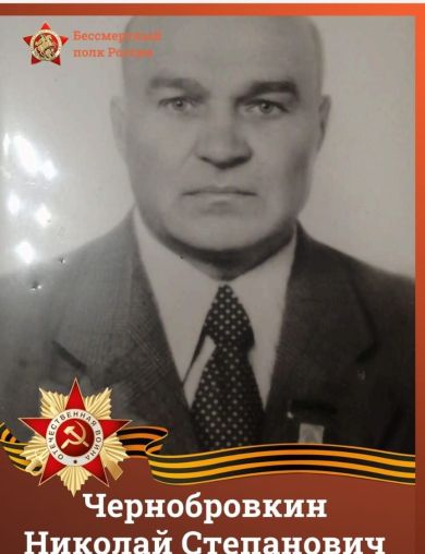 Чернобровкин Николай Степанович