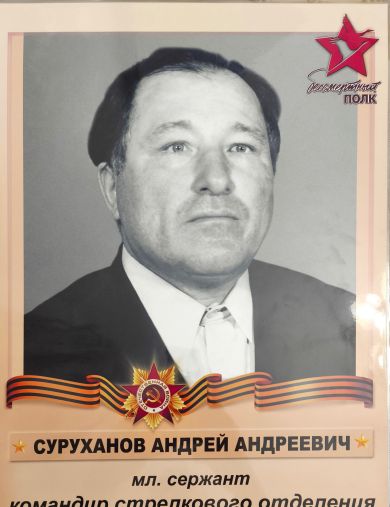 Суруханов Андрей Андреевич