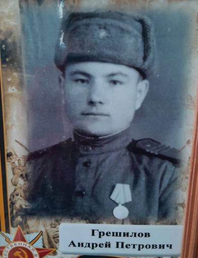 Грешилов Андрей Петрович