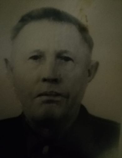 Стрельцов Дмитрий Павлович
