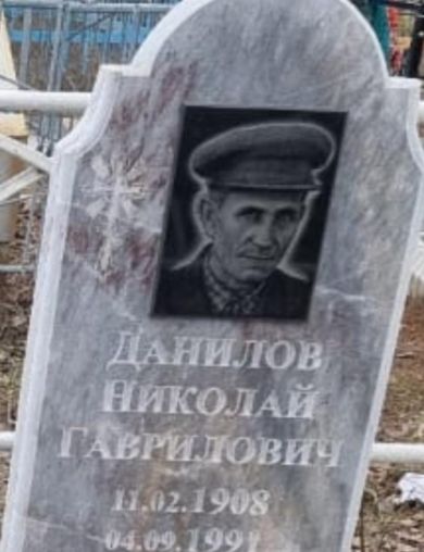 Данилов Николай Гаврилович