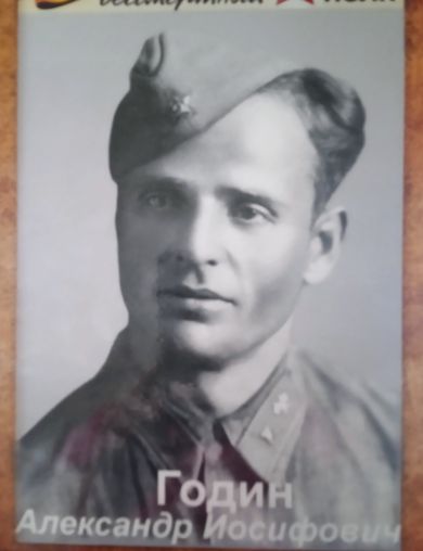 Годин Александр Иосифович