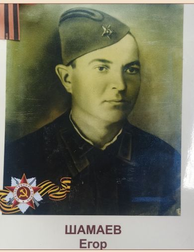 Шамаев Егор
