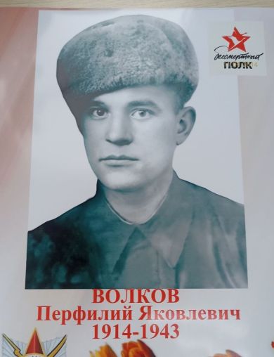 Волков Перфилий Яковлевич