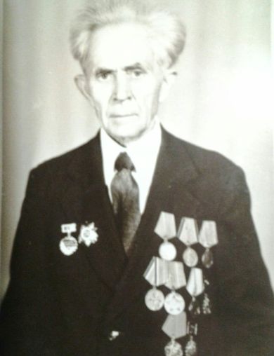 Никитин Николай Митрофанович