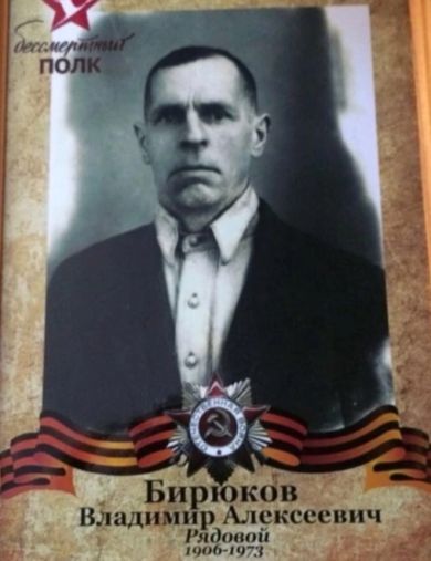 Бирюков Владимир Алексеевич