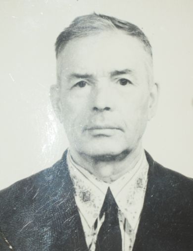 Перегудов Николай Романович
