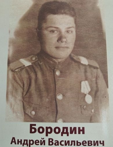 Бородин Андрей Васильевич