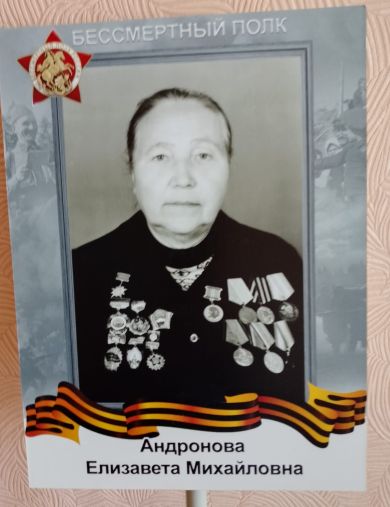 Андронова Елизавета Михайловна