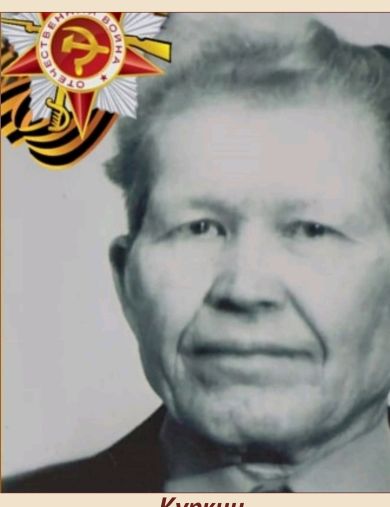 Куркин Дмитрий Иванович