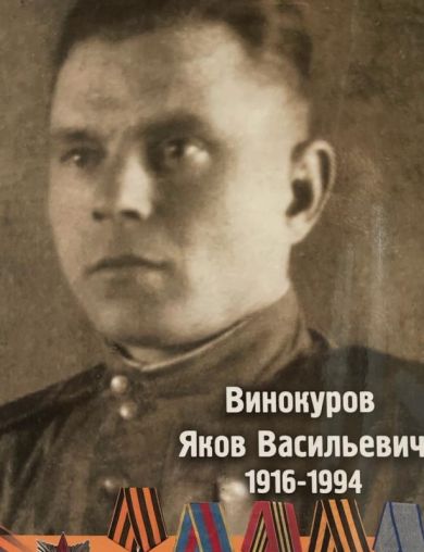 Винокуров Яков Васильевич