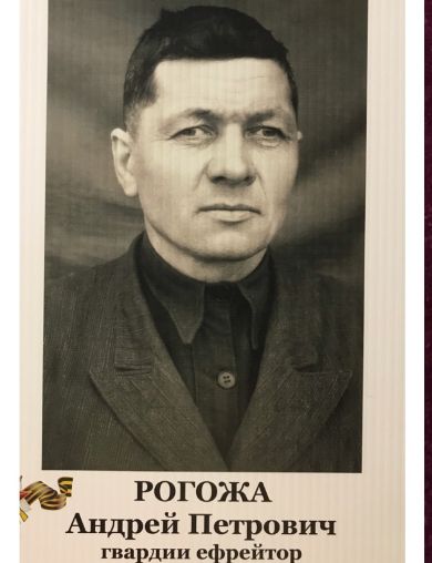 Рогожа Андрей Петрович