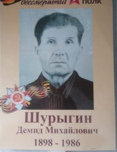 Шурыгин Демид Михайлович