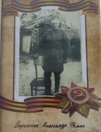 Стрельчик Александр Фомич