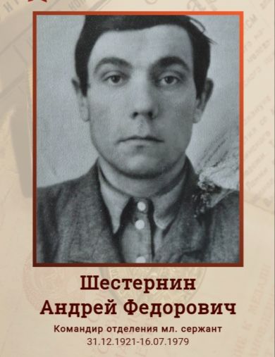 Шестернин Андрей Фёдорович