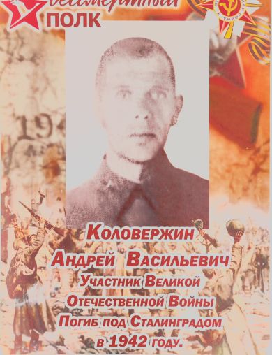 Коловержин Андрей Васильевич
