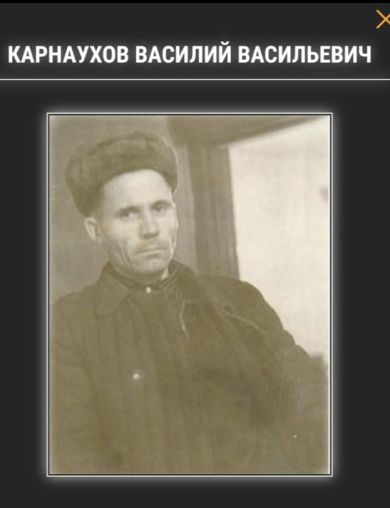 Карнаухов Василий Васильевич