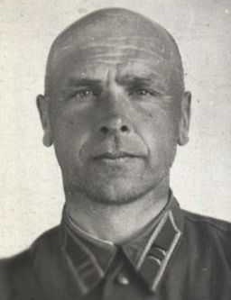 Михайлов Николай Павлович