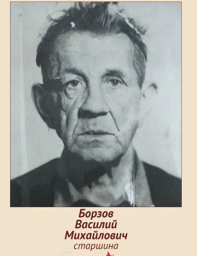 Борзов Василий Михайлович