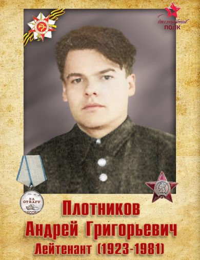Плотников Андрей Григорьевич