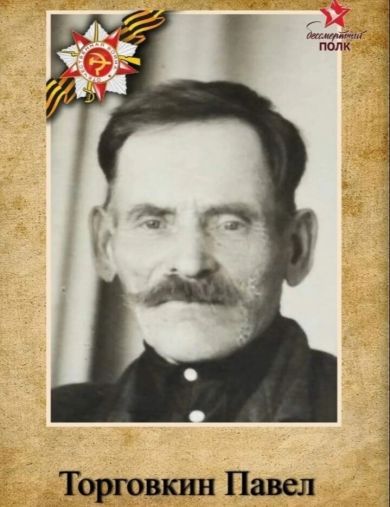 Торговкин Павел