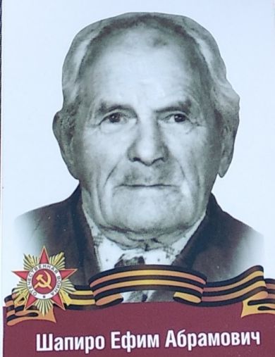 Шапиро Ефим Абрамович