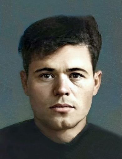 Никитин Анатолий Павлович