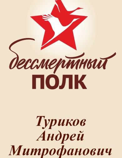 Туриков Андрей Митрофанович